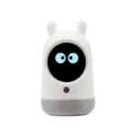 DAMO Companion 机器人